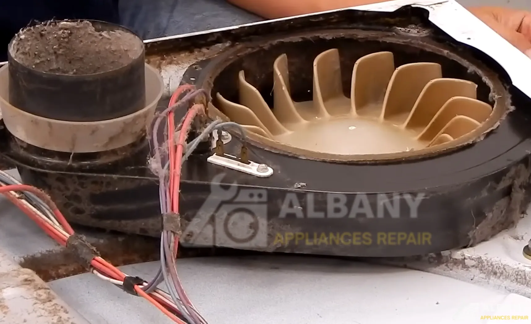 Disassembled dryer motor components visible